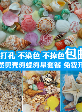 天然海螺手工打孔彩色贝壳diy材料包风铃配件有孔幼儿园 暖场活动