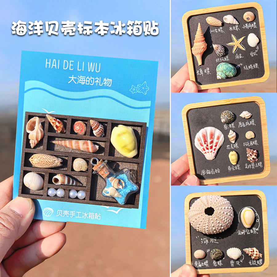海洋贝壳海螺手工冰箱贴标本地中海风木质格子收纳创意文创纪念品图片