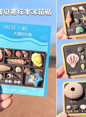 海洋贝壳海螺手工冰箱贴标本地中海风木质格子收纳创意文创纪念品