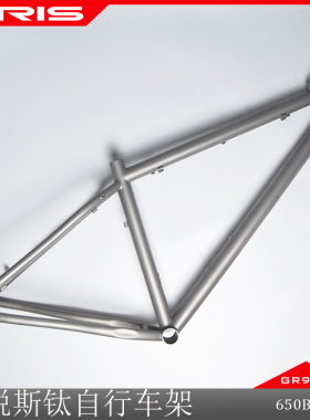 TIRIS泰锐斯GR9钛合金MT4山地自行车架定制山马车架钛车架舒适架