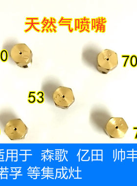 集成集喷嘴适用森歌亿田