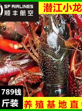 （顺丰空运）5斤789钱湖北潜江清水养殖鲜活小龙虾大虾超大包活