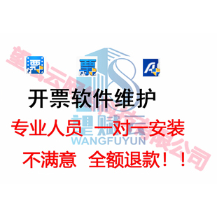 软件维护 手机开票 二维码开票 数票平台维护 一对一问题解决