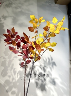 红色叶材山毛榉叶复古黄色树叶乌桕叶仿真植物大树装饰秋叶橡树叶