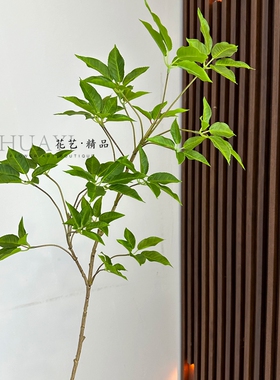 手感仿真鸭掌木枝叶长枝叶