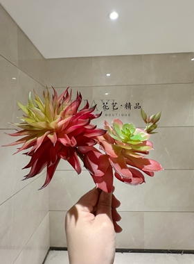 个性小众多肉植物鱼缸爬宠缸造景微景观枯山水搭配苔藓枯木装饰