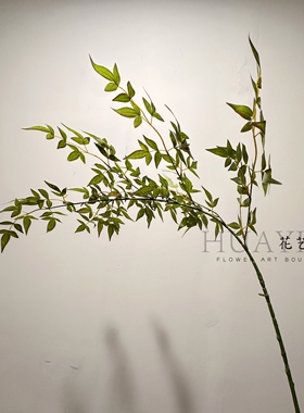 仿真南天竹攀爬造景绿植人造植物装饰布置艺术感摆件