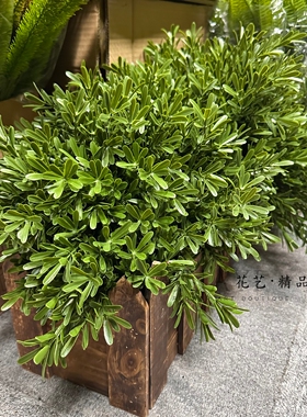 花箱插花素材绿植海桐叶仿真迷迭香天门冬灌木丛素材罗汉松枝条