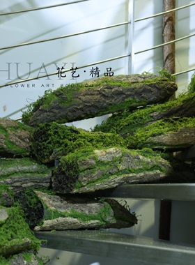 木桩苔藓仿真树桩木头段造型美陈道具拍摄素材植物造景软装摆件