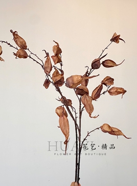 果枝条枯枝美拉德色系仿真小船果酒瓶果火焰豆枝条飘逸美陈道具