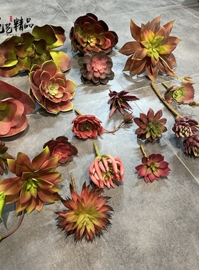 红色仿真多肉植物客厅卧室壁挂装饰品宝石莲空气草佛手莲仙人掌