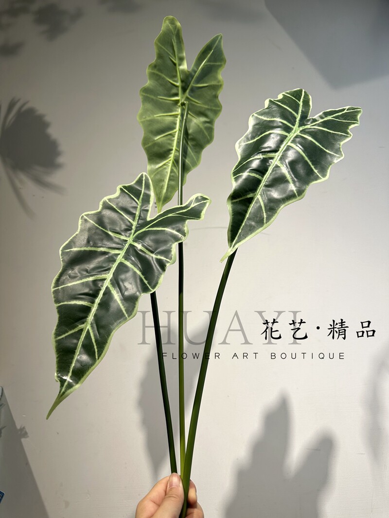 海芋叶大片彩色叶材仿真热带植物插花植物墙素材景观绿化观音莲