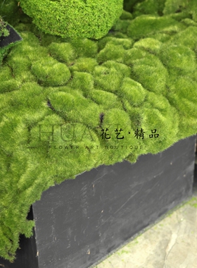 仿真青苔绿色植物装饰造景美陈道具苔藓毛石头假白发藓摆件