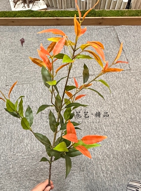 仿真绿植枝条室内装饰摆件植物橙色叶子渐变色石楠叶装饰花束