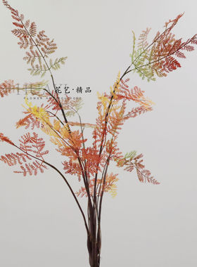 仿真蕨类狼牙蕨绿色黄色红色文竹草植物彩色叶子装饰花艺造景素材