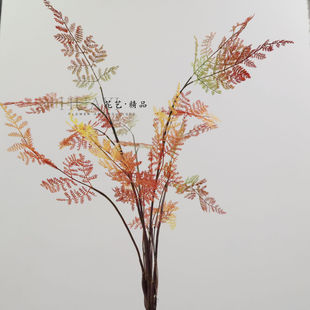 仿真蕨类狼牙蕨绿色黄色红色文竹草植物彩色叶子装饰花艺造景素材