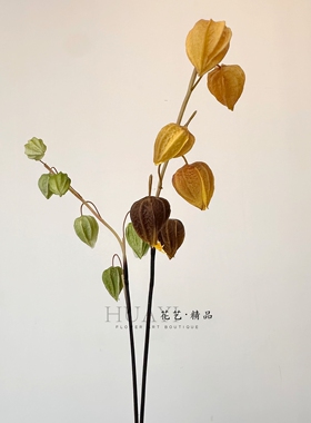 枯枝果枝酸浆果仿真灯笼果插花素材手捧花小众花材配材红果咖色