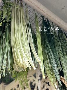 捆扎白剑叶仿真植物插花素材线条类可随意弯曲造型垂吊多肉