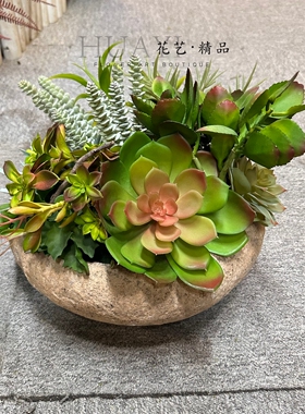 多肉植物芦荟仿真仙人柱金钱串宝石莲剑麻橱窗造景植物软装花艺