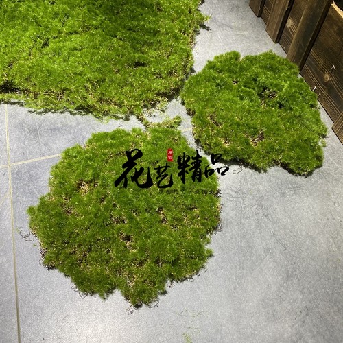 花艺精品仿真苔藓片状毛石头青苔