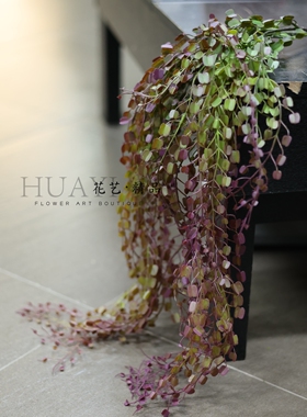 悬挂植物垂吊绿植仿真金钱叶金钱串草彩色素材造景美陈拍摄道具