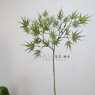 仿真叶材羽毛枫鸡爪槭轻盈空灵大树叶子迎客枫绿枫叶红色树叶秋叶