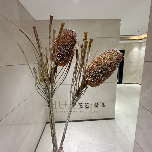 小众花材南非佛塔花仿真花针垫帝王花班克木桌面花束拍摄道具