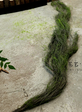 苔藓藤丝仿真藤蔓树藤枯藤青苔藤条软藤可随意造型花艺素材造景