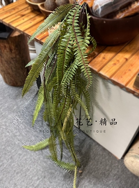 仿真蕨类植物吊兰悬挂绿植波斯草肾蕨波士顿草装饰摆件摄影道具