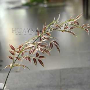 仿真绿植红叶枝条眼眉叶家居装饰摆件客厅插花假花艺