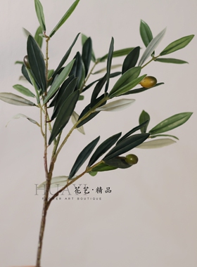 仿真橄榄枝装饰把束插花绿色叶材家居客厅桌面摆放北欧风格假枝叶