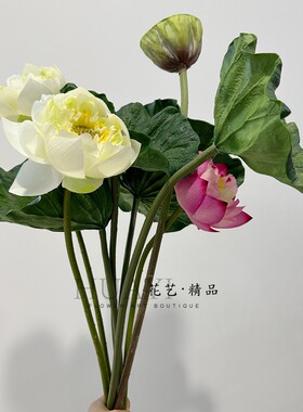 仿真莲花睡莲莲蓬花骨朵白荷花手感保湿荷叶插花造景橱窗店铺摆放