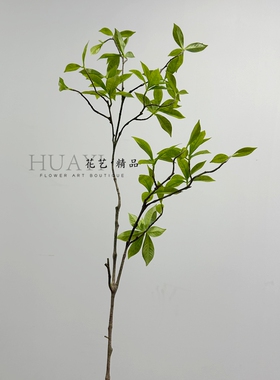 仿真绿植马醉木日式吊钟