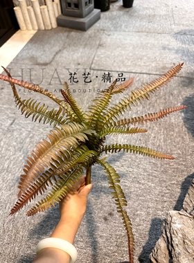 仿真小排草波斯草芒萁叶波士顿蕨狼尾蕨水草爬宠缸造景插花装饰