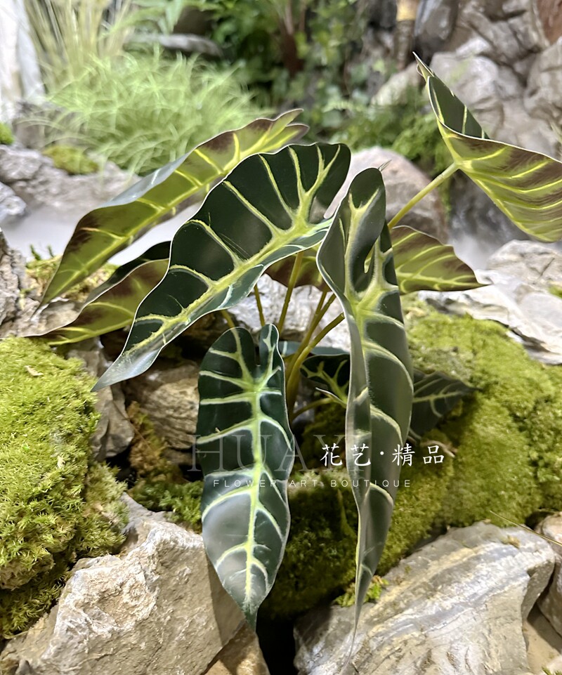 花艺精品仿真花海芋叶图片
