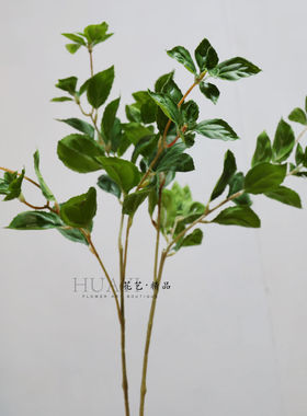 仿真薄荷叶尤加利叶桉树叶绿叶枝条摆件客厅装饰品花艺绿色植物