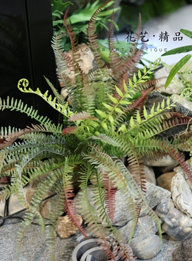 渐变色手感软胶蕨草仿真波斯草波士顿蕨排草卷蕨叶装饰花箱园林