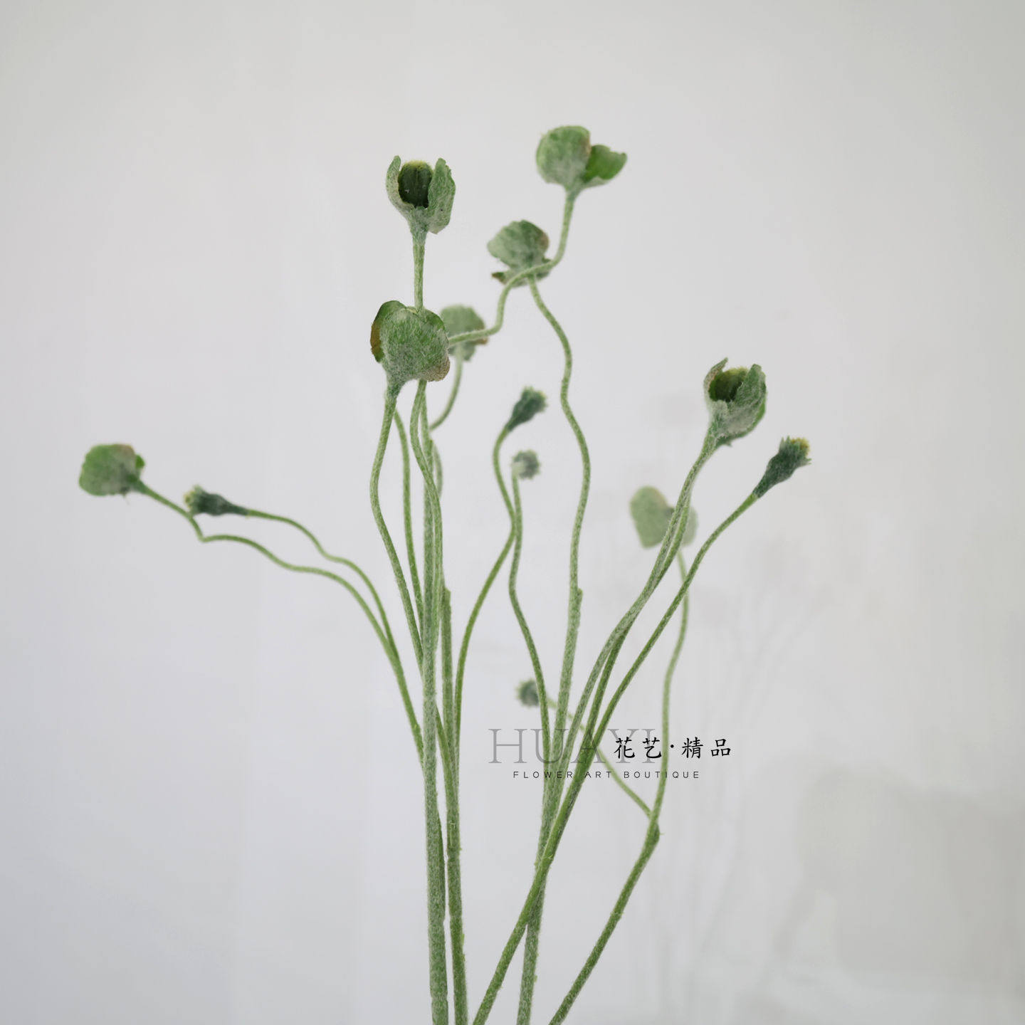 花艺配材线条型枝条虞美人花骨朵花蕾仿真花装饰插花配材植绒树枝,家居饰品,仿真花/假花,淘宝优惠券,粉丝福利购,淘宝优惠卷