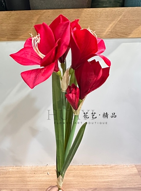 仿真花红色朱顶红君子兰花郁金香花束摆件装饰礼物花箱插花素材