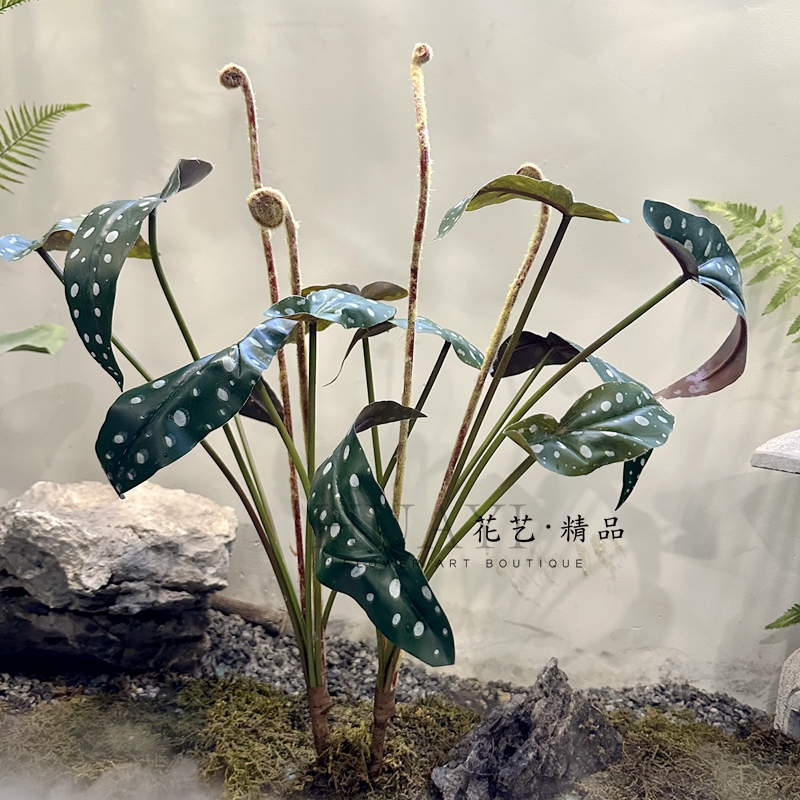 花艺精品海棠蕨叶仿真植物造景