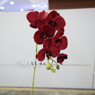酒红色植绒仿真花单只蝴蝶兰花蕙兰大花龙卡兰慧兰家居装饰花艺