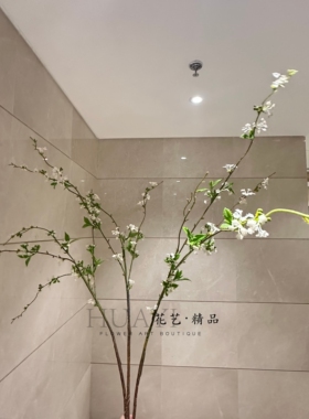 仿真雪柳枝条树枝嫩叶嫩芽小花插花配材小手球枯枝家居装饰造景