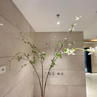 仿真雪柳枝条树枝嫩叶嫩芽小花插花配材小手球枯枝家居装饰造景