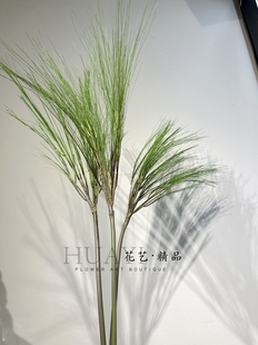 马尾松大松针松树枝装饰品仿真松插花造景长青花艺摆件绿叶