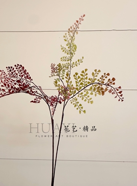 香芹草渐变复古红色仿真蕨类植物枝条绿植摆件拍摄道具现代简约