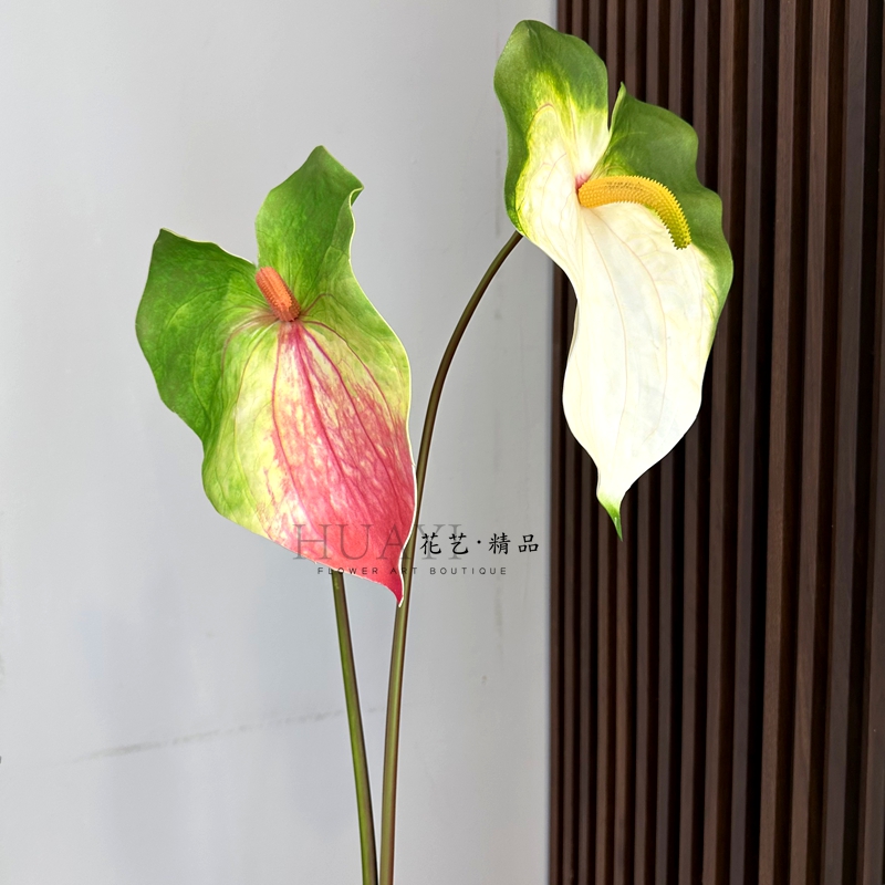 大红掌白掌手感保湿仿真花绿掌叶海芋叶花艺装饰花摆件