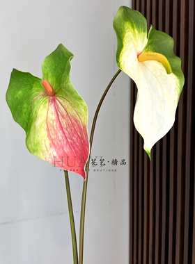 大红掌白掌仿真花海芋叶