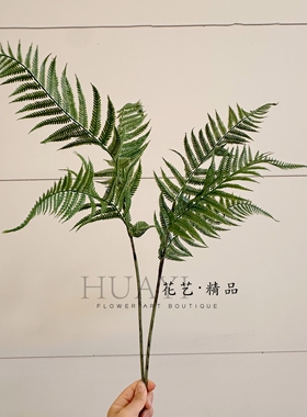 仿真蕨类植物叶子波斯草肾蕨装饰摆件设计感绿植假花狼尾蕨芒萁