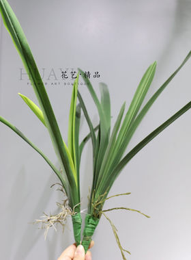 仿真绿植龙血树惠兰叶枝叶室内装饰摆件简约百搭剑兰剑麻叶材