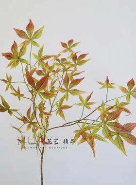 加密渐变色枫叶橘色红色绿色枫树枝叶仿真叶材园林景观装饰插花